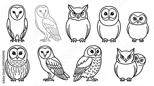 Set of cute owl bird various styles collection bundle coloring book