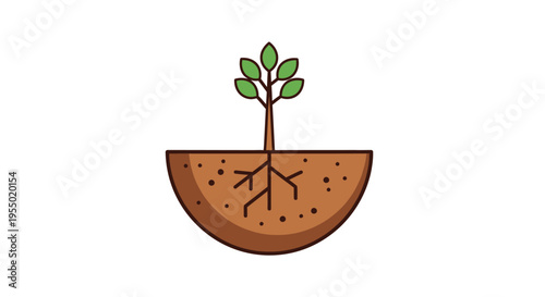 Small plant growing in brown soil.