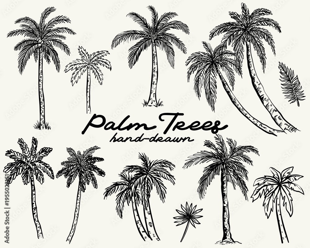 Naklejka premium Hand drawn whimsical style palm trees vector set