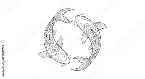 Detailed Koi fish outline swimming in circle, traditional Asian art prosperity symbol isolated white background.