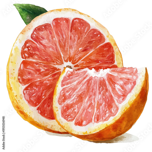 Grapefruit, refined watercolor illustration with luminous tones and soft layered brushwork, isolated on a white background.