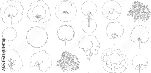 Collection of stylized line trees in various shapes and sizes for architectural or landscape outline