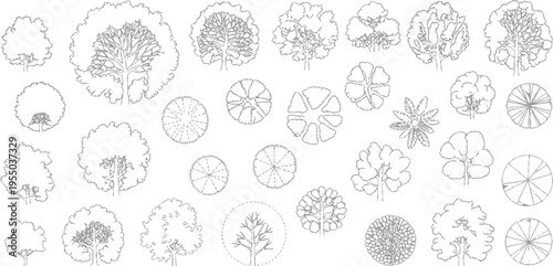 Collection of hand drawn grey line trees and view tree symbols on white background foliage branches trunk