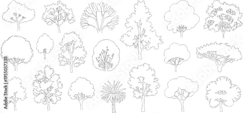 Collection of diverse outline trees and palm tree variety of shapes and sizes nature plant foliage