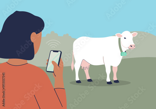 A woman monitors a smart cow collar via her smartphone, showcasing precision livestock management. Modern farm technology, data-driven agriculture, and a connected future.