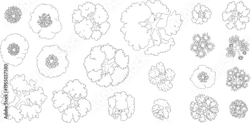 Collection of stylized down tree outlines in various shapes and sizes with detailed foliage patterns