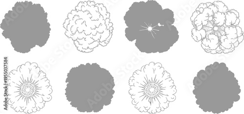 Eight abstract circular shapes with fractal-like outlines and solid gray fills
