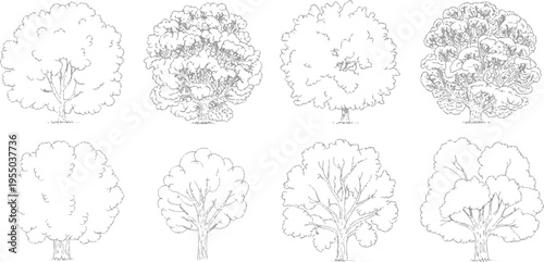 Eight detailed line of deciduous trees with varied foliage and branch structures branches