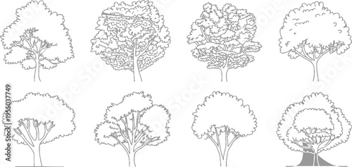 Eight distinct grey line of deciduous trees with varied foliage and branch structures on a white background