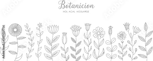 Hand drawn grey floral border with text Botanicion and H O L A C A L N O D L A R G E flower plant botanical