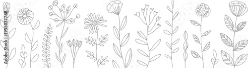 A collection of hand drawn grey line floral and leaves on a white background flowers botanical nature