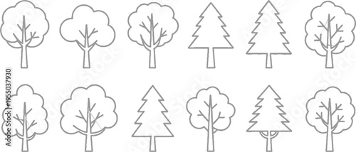 Collection of simple line deciduous and coniferous trees in grey outline on white background nature forest