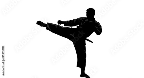 Silhouette of a Karate Fighter Performing a High Side Kick