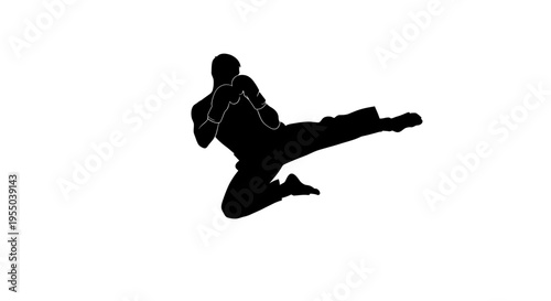 Black Silhouette of a Martial Artist Performing a Flying Kick