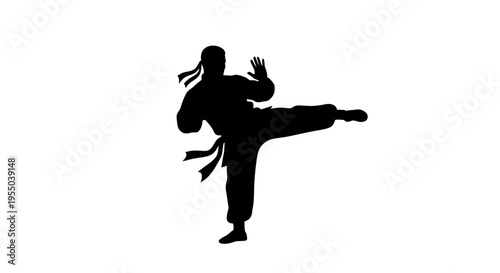 Martial Arts Fighter Silhouette Kicking
