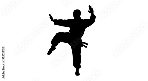 Martial Arts Fighter Silhouette Performing a Dynamic Kick