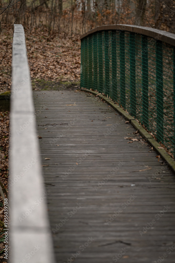 Obraz premium A wooden footbridge with green mesh on the sides.