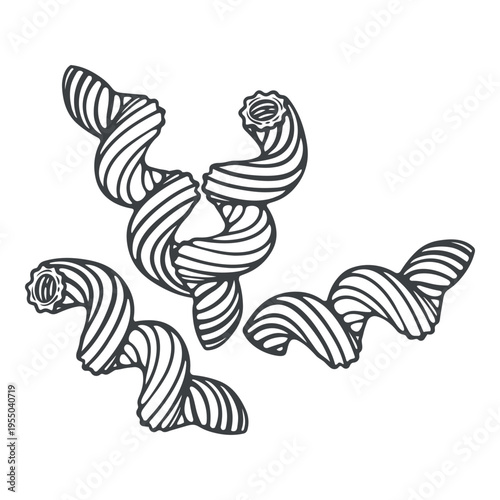 Cavatappi, dry uncooked pasta variation, spiral noodles, lines, hand-drawn, black and white, graphic illustration, engraving isolated