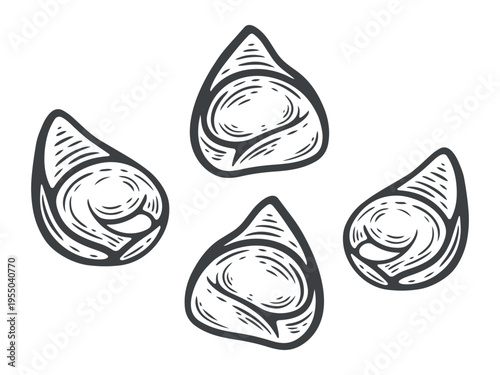 Tortellini, stuffed pasta, dumpling variation, lines, hand-drawn, black and white, graphic illustration, engraving isolated