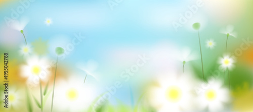 Summer background with chamomiles and dandelions, blue sky blur, green foliage, yellow white flowers, abstract floral vector pattern, meadow garden nature plant template