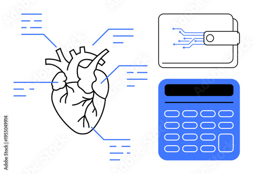 Fintech, healthcare technology, biometrics, data analysis, electronic payments, innovation. Anatomical heart with data connections, digital wallet blue calculator. Fintech and healthcare technology