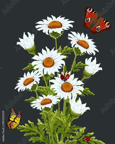 Insects and a bouquet of daisies in the illustration.Vector illustration with daisies, butterflies and ladybugs on a colored background.