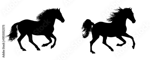Elegant Silhouette of a Horse in Motion