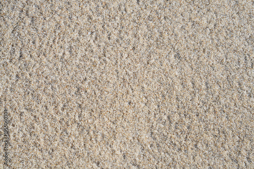 Фотография Top view on natural fine beige sand texture