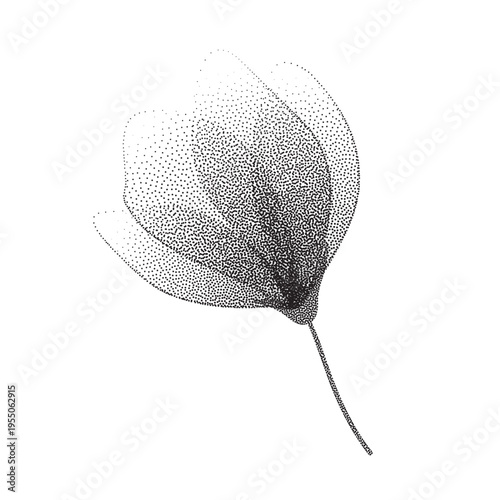 Elegant airy flower in pointillism stipple effect.Gentle rose with subtle spray texture.Fragile floral element with dainty aesthetic for minimal prints,posters,branding,invitations.