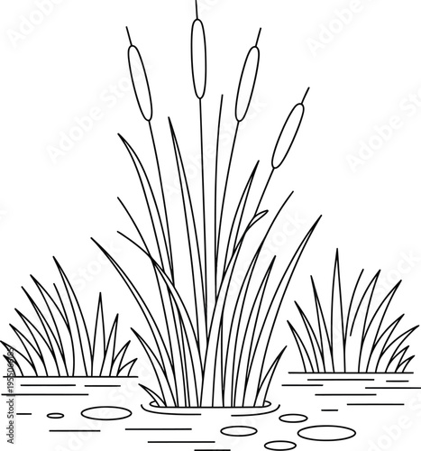 Vector illustration of cattails and water plants