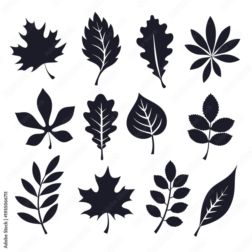 Obraz premium A collection of dark monochromatic silhouette leaves are arranged neatly on a bright white backdrop