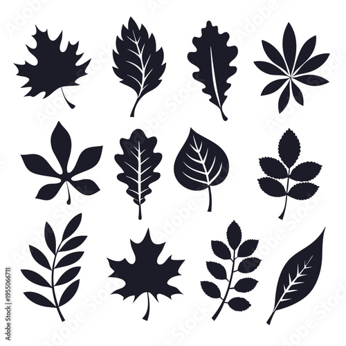 A collection of dark monochromatic silhouette leaves are arranged neatly on a bright white backdrop