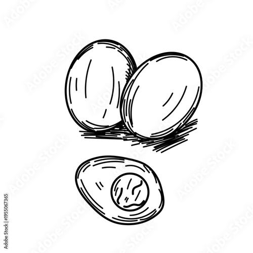 Hand-Drawn Sketch of Whole and Sliced Boiled Eggs