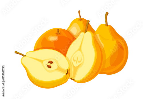 Group of sweet pears in cartoon style. Vector illustration of delicious juicy pears: whole, half, with seeds and without isolated on white background. Useful seasonal fresh fruits.