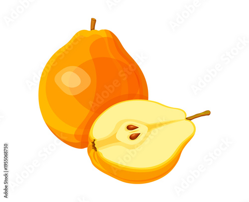 Whole and half ripe pears in cartoon style. Vector illustration of delicious juicy pears: whole, half, with seeds, isolated on white background. Nutritious healthy tree fruits.