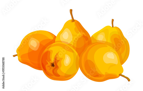 A pile of delicious pears in cartoon style. Vector illustration of sweet, ripe pears whole of different shapes isolated on white background. Useful and nutritious seasonal fresh fruits.