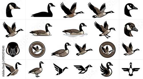 A collection of goose illustrations in various poses, including flying, swimming, and standing, with some stylized designs.