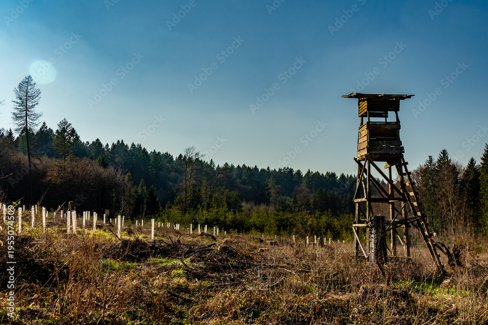 Naklejka premium Hoch und Jägersitz im Wald