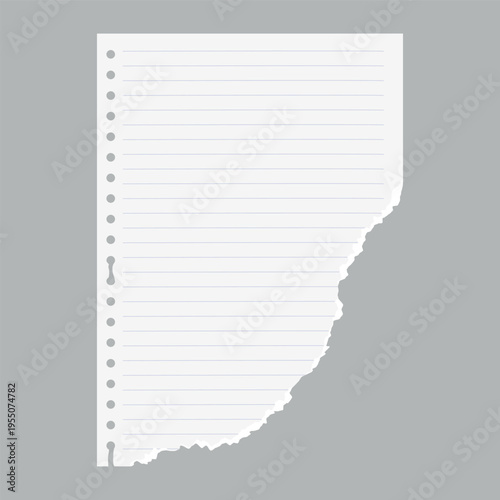 Striped notepad school paper page with a torn corner, vector realistic white lined torn sheet of notebook ripped edge