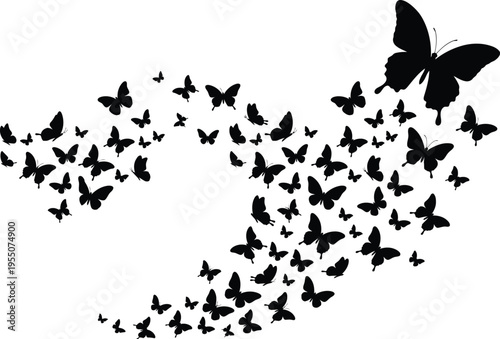 A large group of flying black butterflies in a vector graphic illustration, with one big butterfly leading the flock