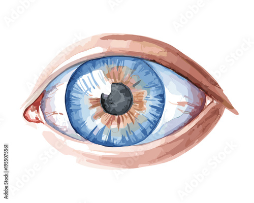 Watercolor illustration of human eye with blue iris isolated on transparent background