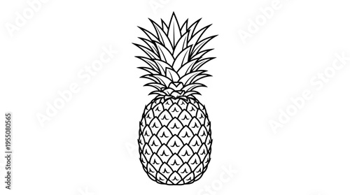 Pineapple Fruit Illustration Closeup View.