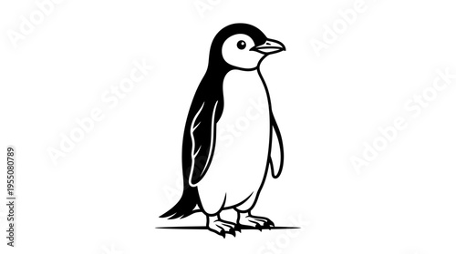 Little Penguin Standing on Ground.