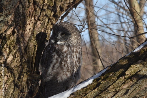 Parc Maritime Nicolet 22 Février 2026