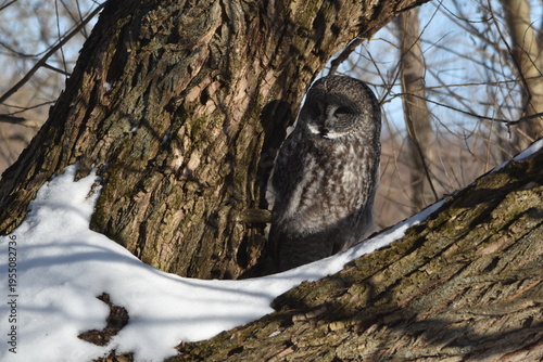 Parc Maritime Nicolet 22 Février 2026