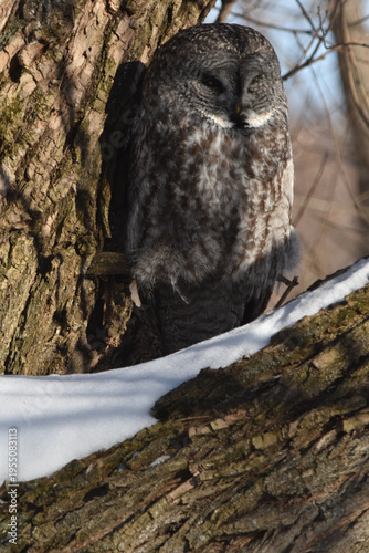 Parc Maritime Nicolet 22 Février 2026