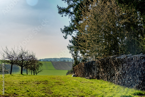 Obraz na płótnie Brennholz lagert im Freien