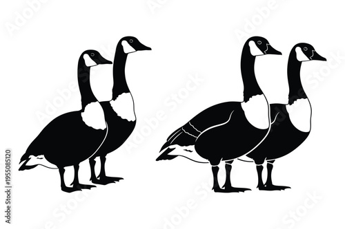 Pair of geese silhouette, simple graphic art