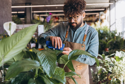 Florist man caring for peace lily plant, cleaning green leaves in flower shop for small business and retail