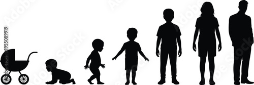 Human growth stages silhouette from baby stroller and crawling infant to toddler, child, boy, girl, woman, man family life cycle vector